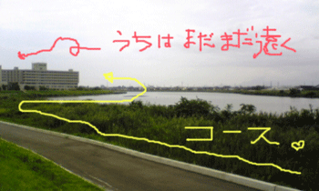 d0050871_106617.gif