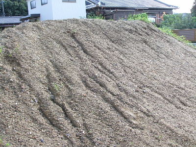 e0055880_20431761.jpg