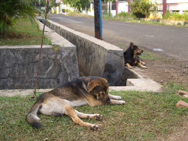 c0175883_0375533.jpg