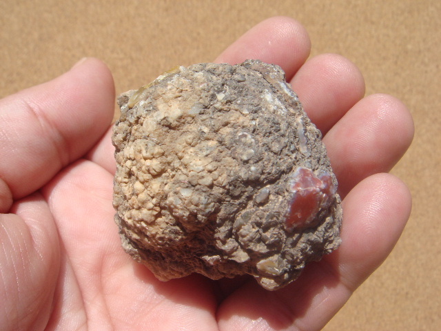 e0060485_22281952.jpg