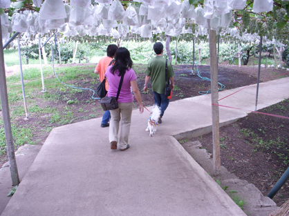 d0044986_07749.jpg