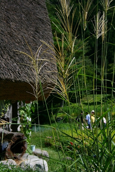 b0128787_21183568.jpg