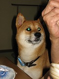 f0181394_1564551.jpg