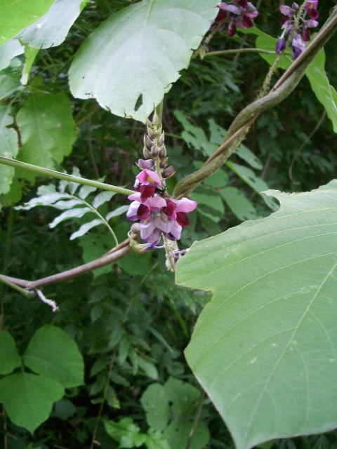 e0025300_13465881.jpg
