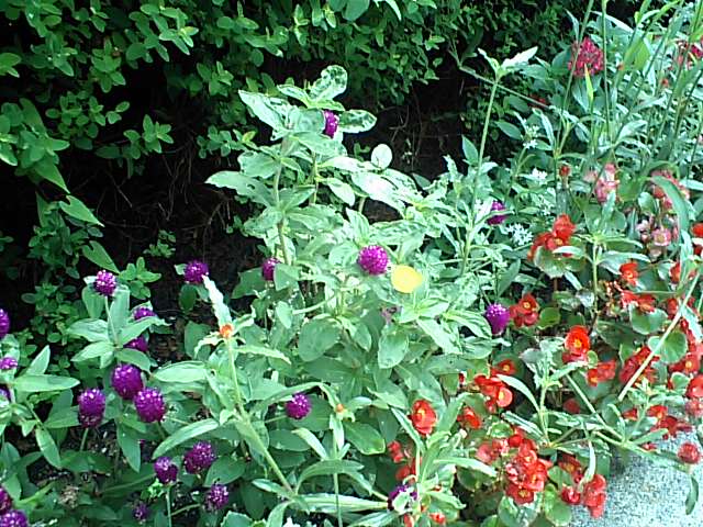 d0054704_142352.jpg
