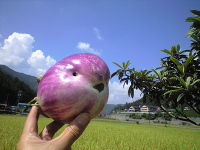 f0135908_014837.jpg