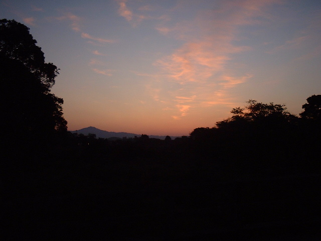 f0173908_623196.jpg