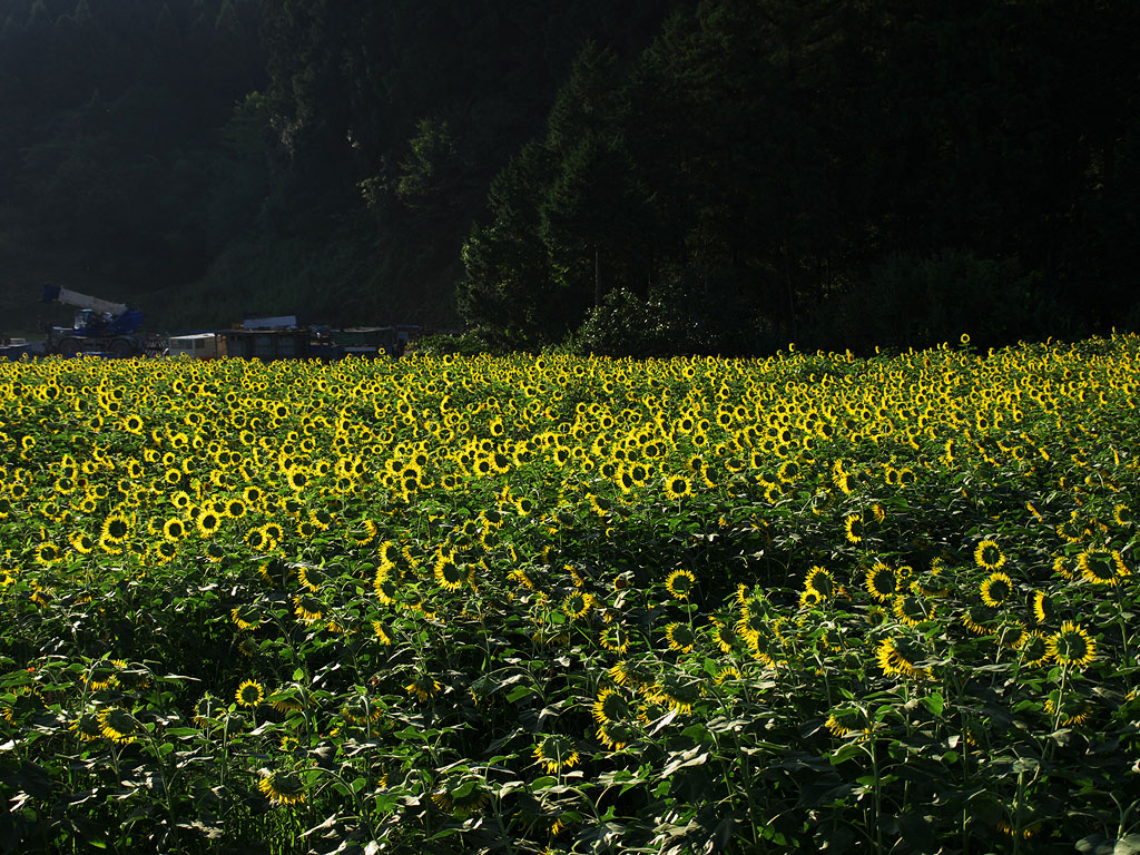 c0115616_216723.jpg