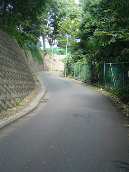 c0135618_258290.jpg