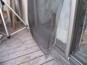f0143123_20105634.jpg