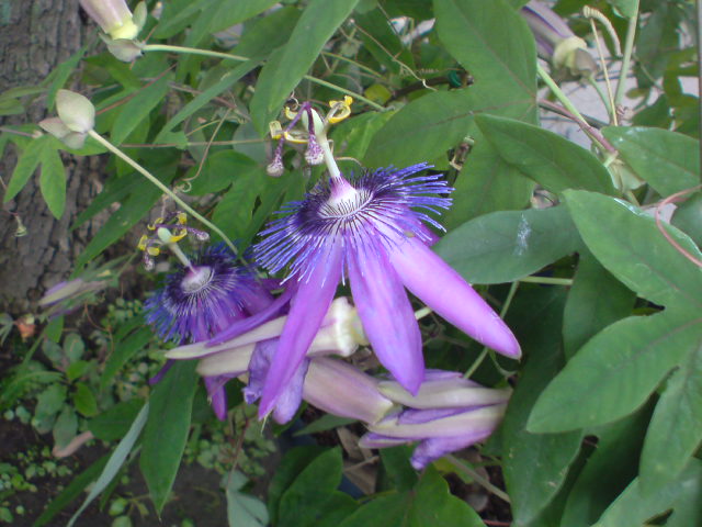 e0016828_23255381.jpg