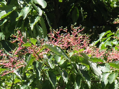 f0009128_22405588.jpg