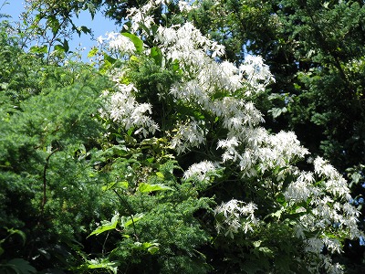 f0009128_22424467.jpg