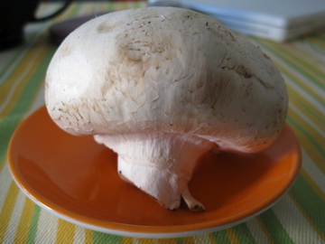 c0118237_454917.jpg