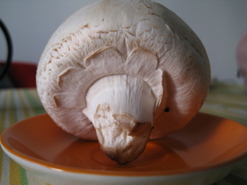 c0118237_461429.jpg