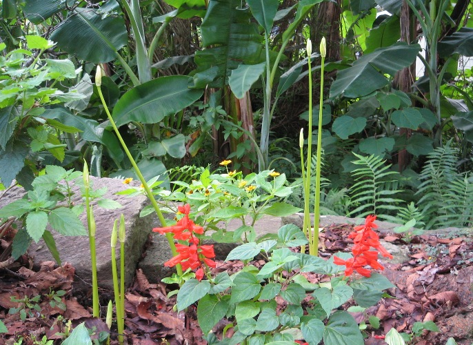 f0042737_14382359.jpg