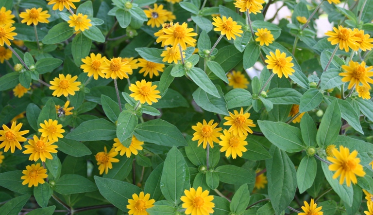 f0042737_14472274.jpg