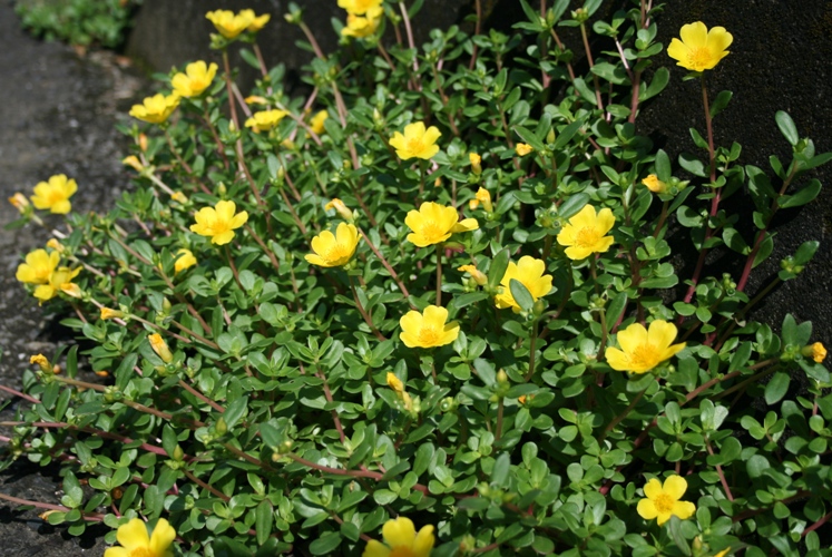 f0042737_1455886.jpg