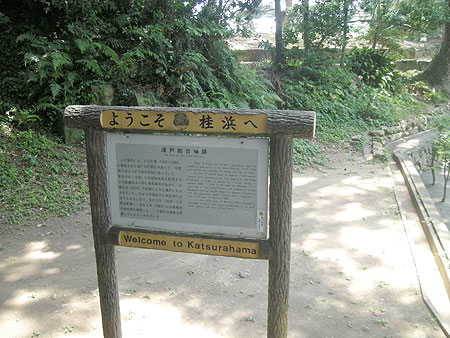 f0001841_8153859.jpg