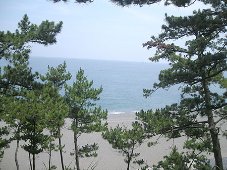 f0001841_8161775.jpg