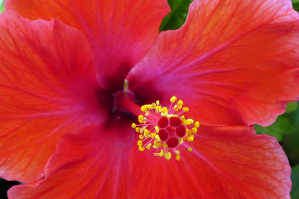 c0131544_2246421.jpg
