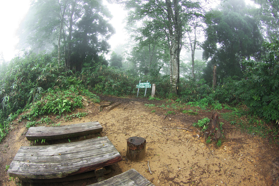 d0098645_21253521.jpg