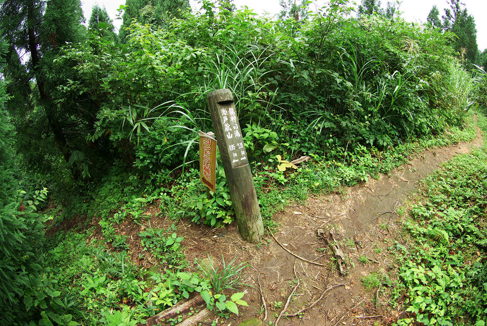 d0098645_2125791.jpg