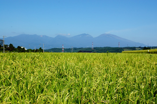 d0008146_22441934.jpg