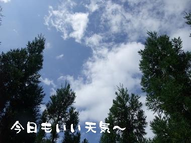 e0126046_0202555.jpg