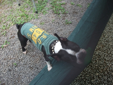 e0126046_084081.jpg