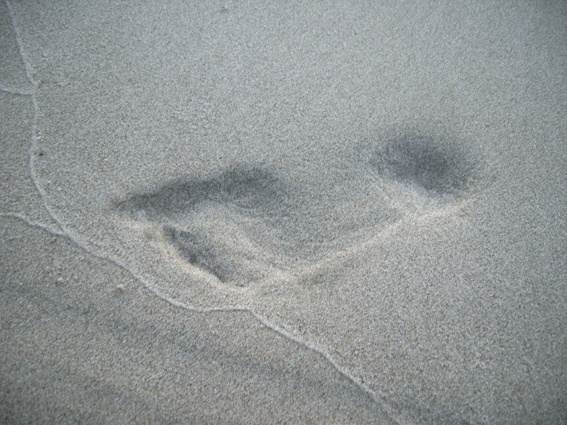 f0161647_174721.jpg