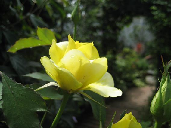 a0075455_8214685.jpg