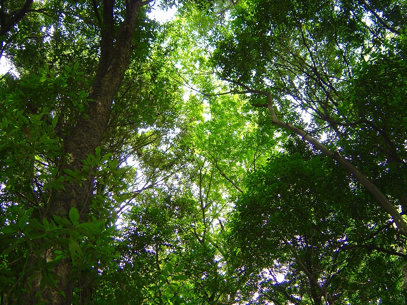 f0142558_1433168.jpg