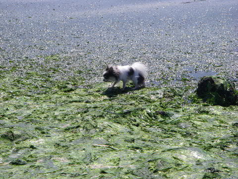 b0137459_229653.jpg