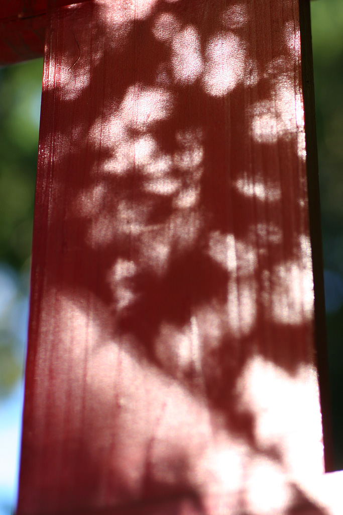 d0148060_21373351.jpg
