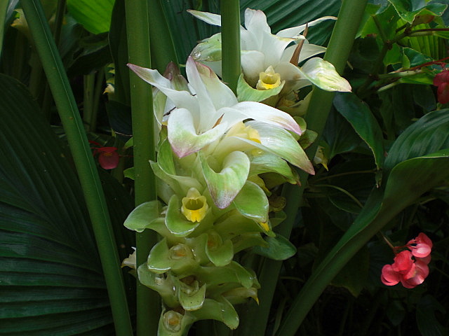b0149867_228546.jpg