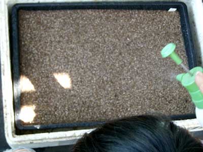 e0097770_22325591.jpg