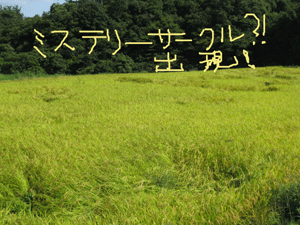 d0050871_1044082.gif