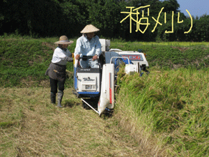 d0050871_10441449.gif