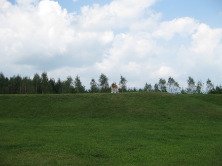 f0175875_18485545.jpg