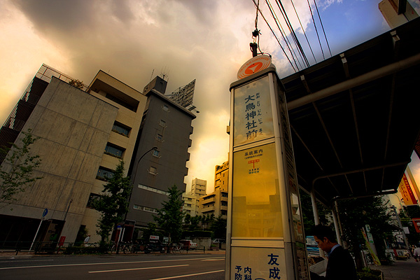 d0089281_1393181.jpg