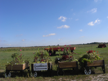 c0130986_3374818.jpg