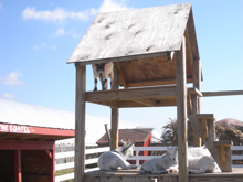 c0130986_3404274.jpg