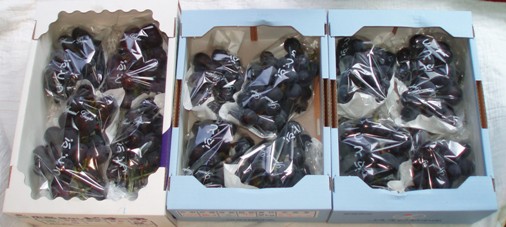 f0181295_9314811.jpg