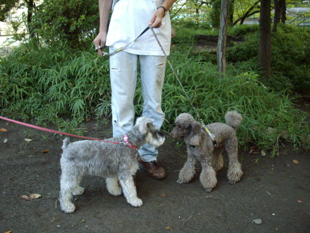 c0138198_15433447.jpg