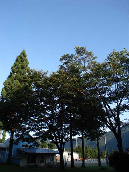 a0061599_6433956.jpg