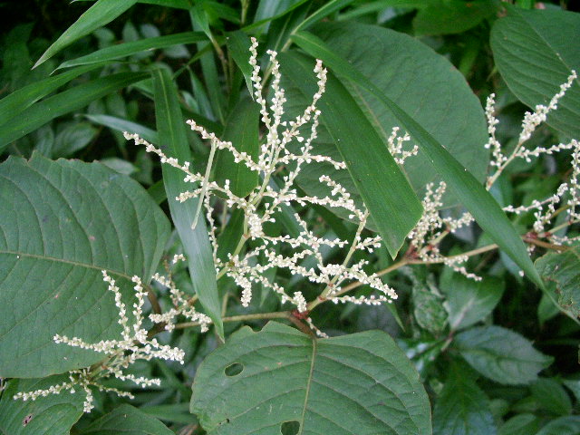 e0025300_12441192.jpg
