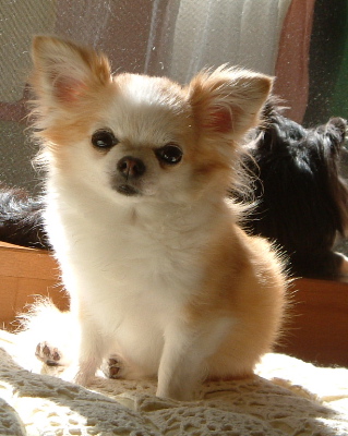 a0079803_035149.jpg