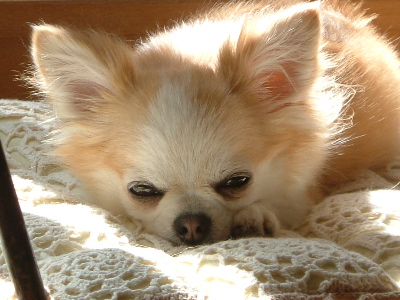 a0079803_042390.jpg