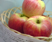 e0134907_148452.jpg